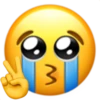 Emojis que NO tenías 6