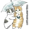Gatitos 9