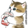 Gatitos 10