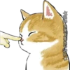 Gatitos 12