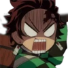 Demon slayer 8