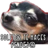SOLIT@ TE HACES
PENDEJ@