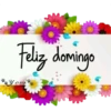 Saludos Variados by Vane   (part 3) 8