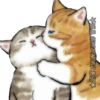 Gatitos 13