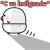 Baby chicken 15