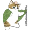 Gatitos 14