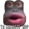 YA MAMASTE HDP
