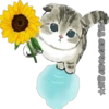 Gatitos 15