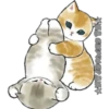 Gatitos 16