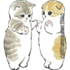 Gatitos 17