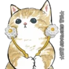 Gatitos 19