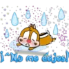 Chip y dale ardillas 21