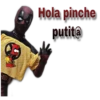 Hola pinche putit@