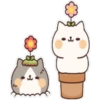 Gatitos Enamorados  ️ 11