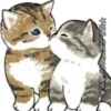 Gatitos 21