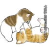 Gatitos 22
