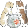 Gatitos 23