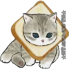 Gatitos 24