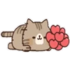 Gatitos Enamorados  ️ 12