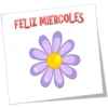 FELIZ MIERCOLES