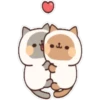 Gatitos Enamorados  ️ 15