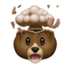 Urso memoji 14