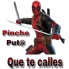Pinche Put@ DAR Que te calles