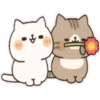 Gatitos Enamorados  ️ 17