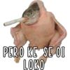 PERO KE SE OI
LOKO