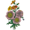 Henriette Antoinette Vincent 1786-1830 (Flowers) 6