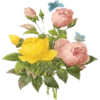 Flowers 7 6