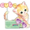 🌈❤️❤️=LOVELY °CATS=❤️❤️🌈 6