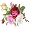 Flowers 7 8