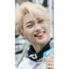 Stray Kids №11 5