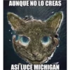 michis 5