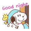 Nouced Snoopy 1💖 C☆ 9