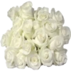 Flowers 7 9