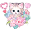 🌈❤️❤️=LOVELY °CATS=❤️❤️🌈 8
