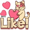 Gatito Marrón 🐱🤎 7