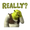 Shrek 7