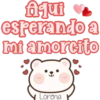 My Valentine 💝🐻 Bear♥️🇲🇽 11