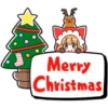 Cat girls Merry X'mas🫧❄ 12