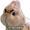 Cute soft 🩷1🇲🇽 10