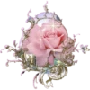 Flowers 7 13