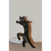 cats 6
