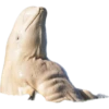Buff Animals 7