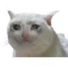 stickerbal 17