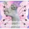 michis 8