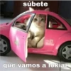 michis 9