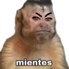 Monitos 1 🇲🇽 7
